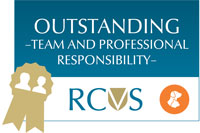 RCVS PSS Award logo - Outstanding team