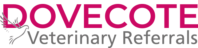 Dovecote Veterinary Hospital