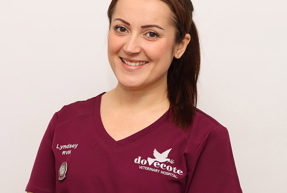 Lyndsey Wheeler
