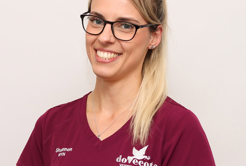 Shannen Hawker